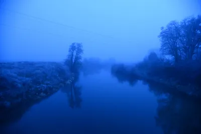 DSC_1057 (Large).JPG